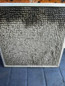 66c87f9a-bb8a-4126-b390-4e525bd59788